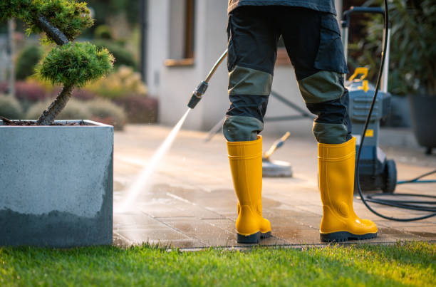 Best Affordable Pressure Washing  in Upland, CA